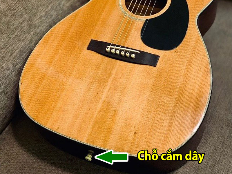 Kết nối loa kéo với guitar.