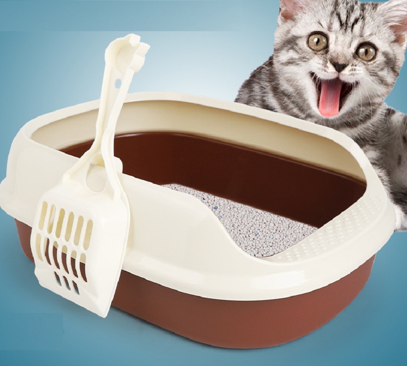 Khay vệ sinh cho mèo