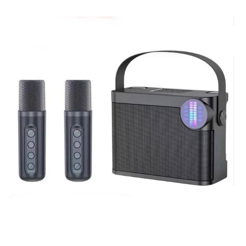 Loa karaoke mini YS-210